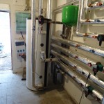 ATMOS DC50S, ATMOS D50P